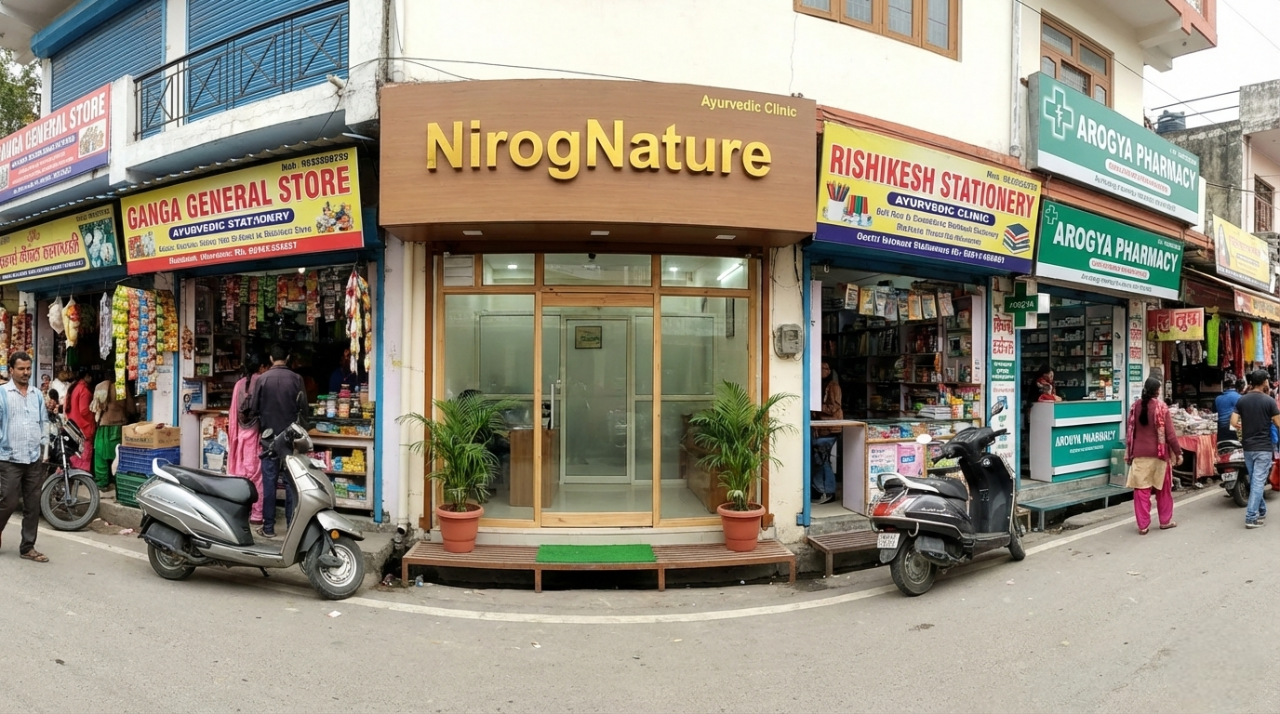 NirogNature Clinic Day View